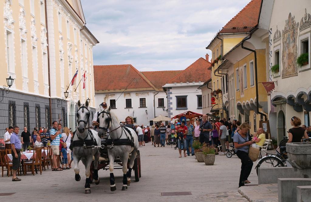 Aparthouse Ani Apartment Radovljica Bagian luar foto